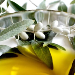 Ultrasound for extracting extra virgin olive oil: Olearia Pazienza has passed the exam!